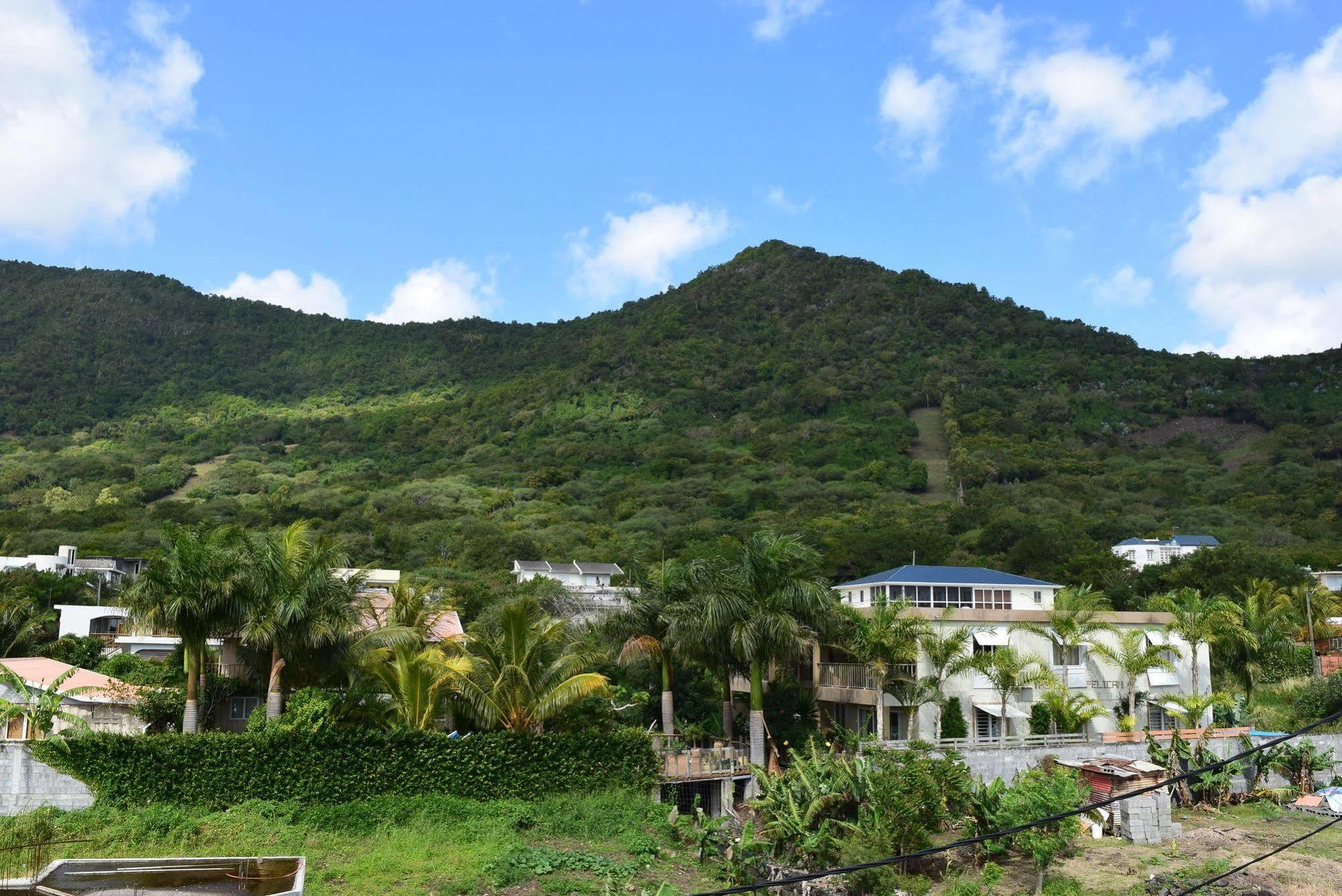Mountain View *